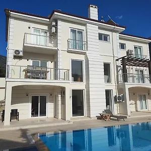  Villa Holly